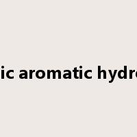 polycyclic aromatic hydrocarbon是什么意思
