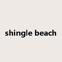 shingle beach是什么意思