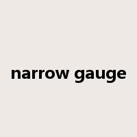 narrow gauge是什么意思
