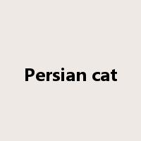 Persian cat是什么意思