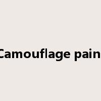 Camouflage paint是什么意思