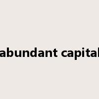 abundant capital是什么意思