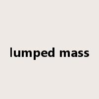 lumped mass是什么意思