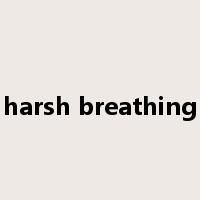 harsh breathing是什么意思