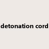 detonation cord是什么意思