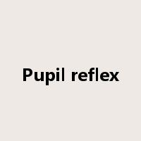 Pupil reflex是什么意思