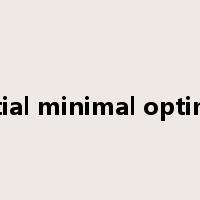 Sequential minimal optimization是什么意思