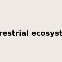 terrestrial ecosystem是什么意思