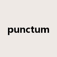 punctum是什么意思