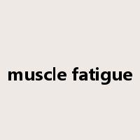 muscle fatigue是什么意思
