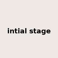 intial stage是什么意思