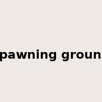 spawning ground是什么意思
