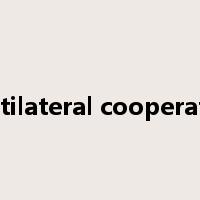 multilateral cooperation是什么意思