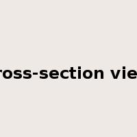 cross-section view是什么意思