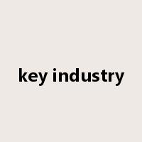 key industry是什么意思