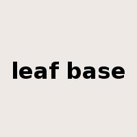leaf base是什么意思