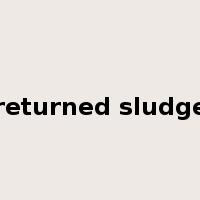 returned sludge是什么意思