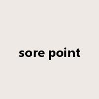 sore point是什么意思
