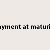 payment at maturity是什么意思