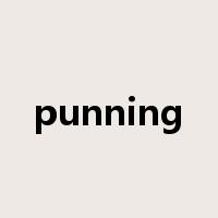 punning是什么意思