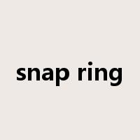snap ring是什么意思