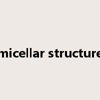 micellar structure是什么意思