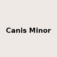 Canis Minor是什么意思