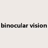 binocular vision是什么意思