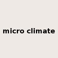 micro climate是什么意思