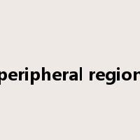 peripheral region是什么意思