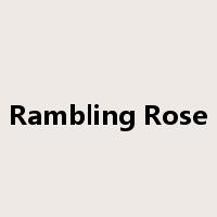 Rambling Rose是什么意思