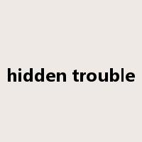 hidden trouble是什么意思