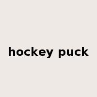 hockey puck是什么意思