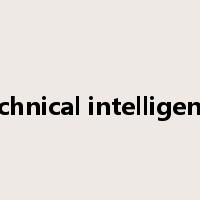 technical intelligence是什么意思