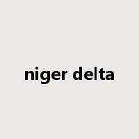 niger delta是什么意思