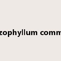 Schizophyllum commune是什么意思