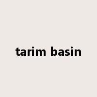 tarim basin是什么意思