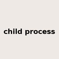 child process是什么意思