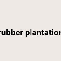 rubber plantation是什么意思