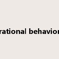rational behavior是什么意思