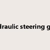 hydraulic steering gear是什么意思