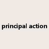 principal action是什么意思