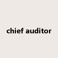 chief auditor是什么意思