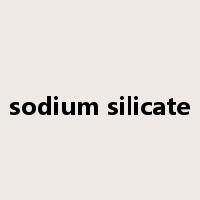 sodium silicate是什么意思