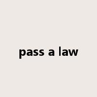 pass a law是什么意思