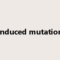 induced mutation是什么意思