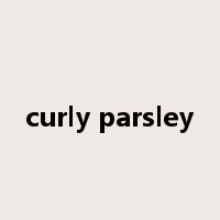 curly parsley是什么意思