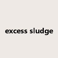 excess sludge是什么意思