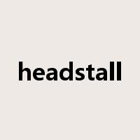 headstall是什么意思