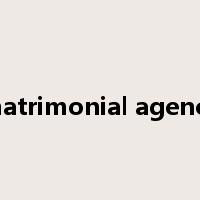 matrimonial agency是什么意思